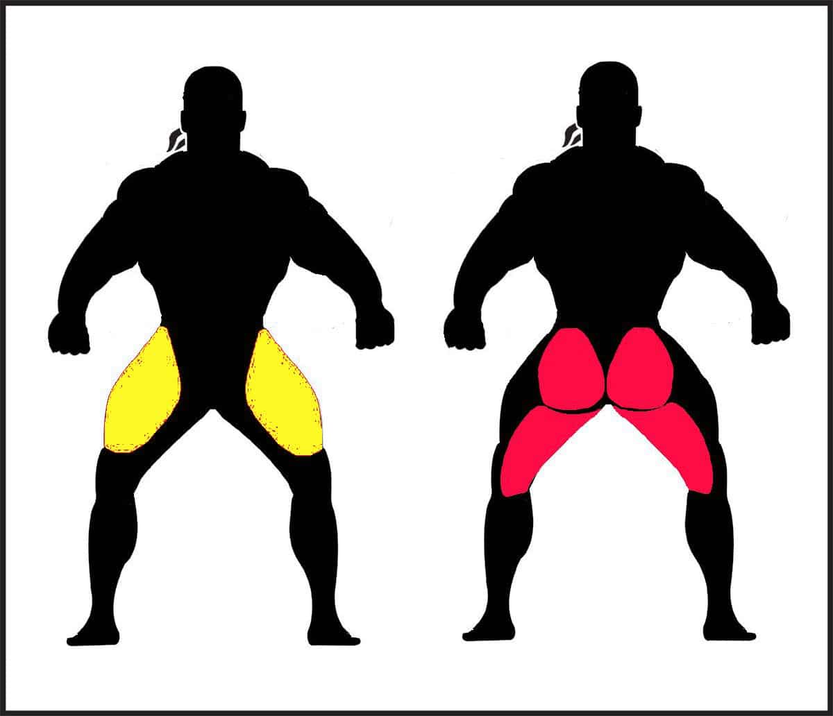 Which muscles do deadlifts work?